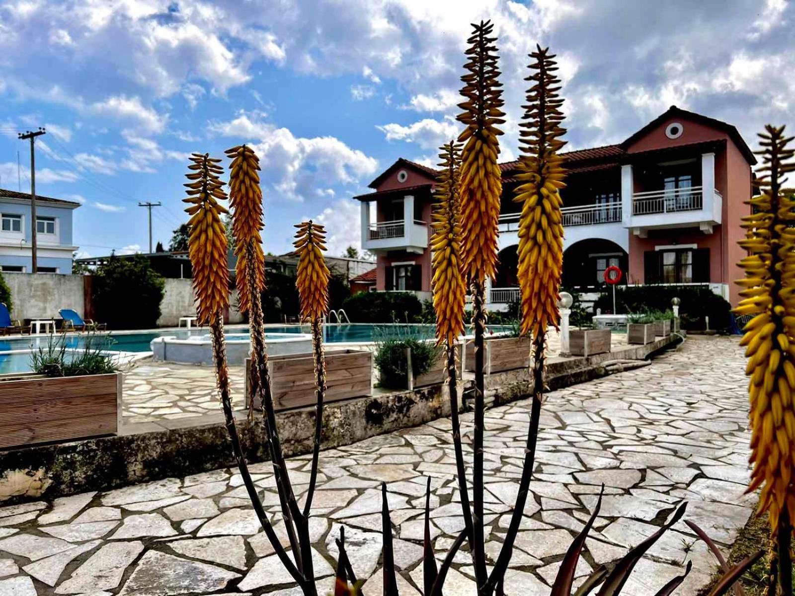 Angela Corfu Apartment Potamos  ภายนอก รูปภาพ