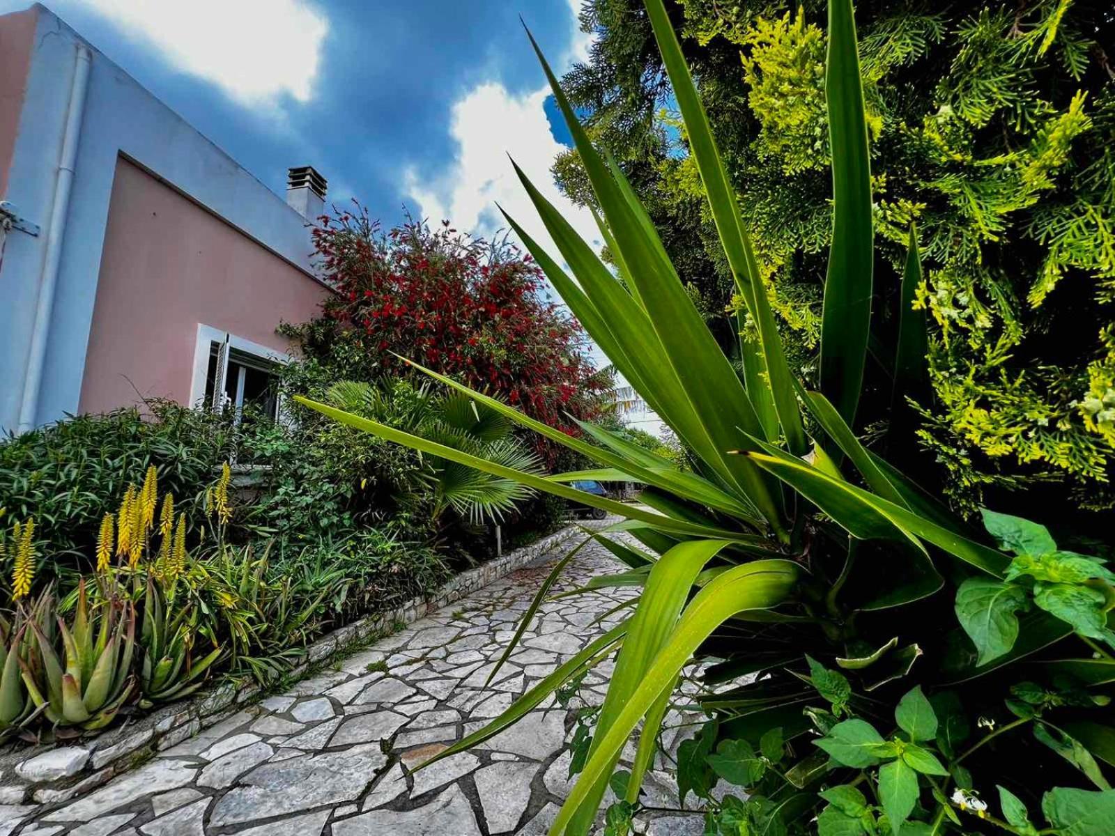 Angela Corfu Apartment Potamos  ภายนอก รูปภาพ