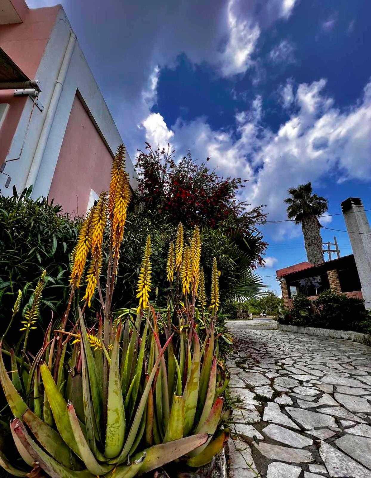 Angela Corfu Apartment Potamos  ภายนอก รูปภาพ
